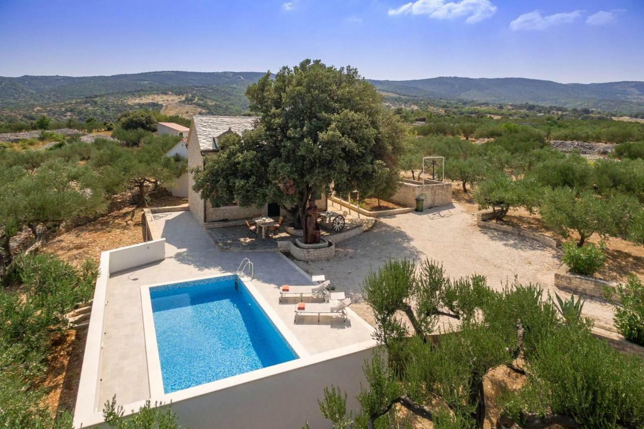 Villa Dubrava Tranquil Retreat Nestled In An Olive Grove For Serene Escapes Pucisca Εξωτερικό φωτογραφία