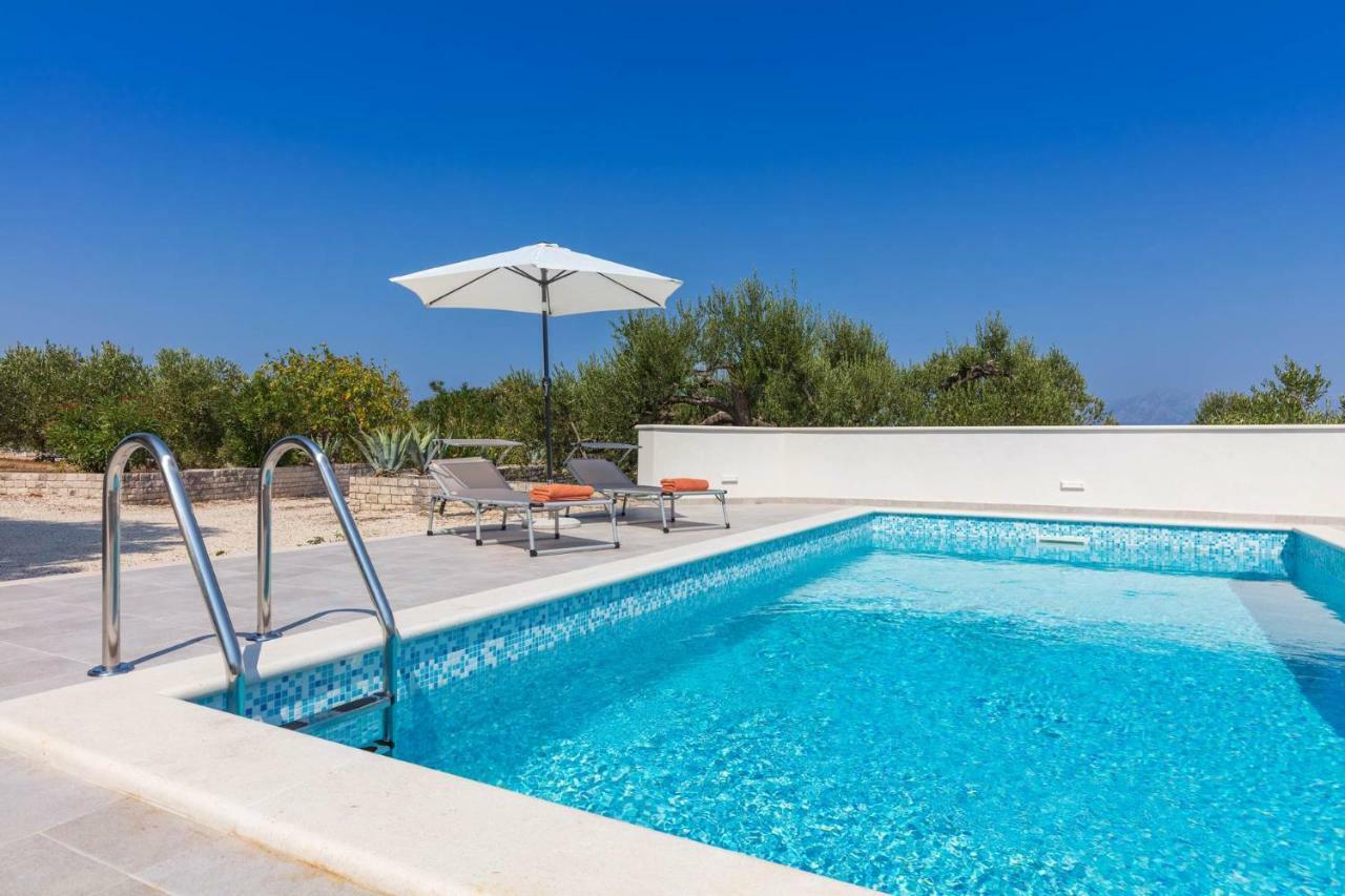 Villa Dubrava Tranquil Retreat Nestled In An Olive Grove For Serene Escapes Pucisca Εξωτερικό φωτογραφία