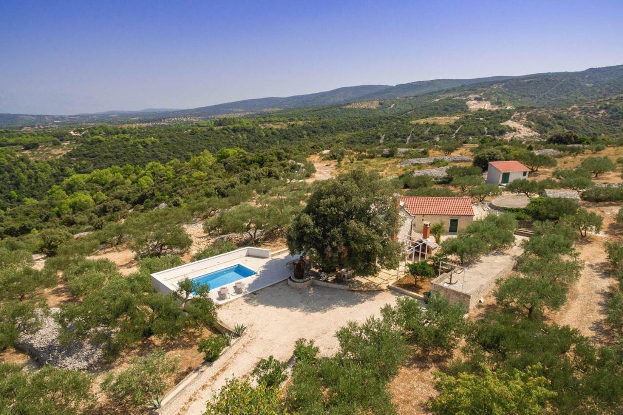 Villa Dubrava Tranquil Retreat Nestled In An Olive Grove For Serene Escapes Pucisca Εξωτερικό φωτογραφία