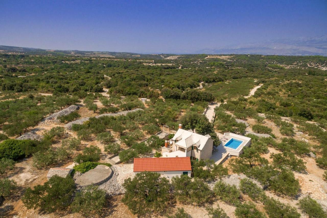 Villa Dubrava Tranquil Retreat Nestled In An Olive Grove For Serene Escapes Pucisca Εξωτερικό φωτογραφία