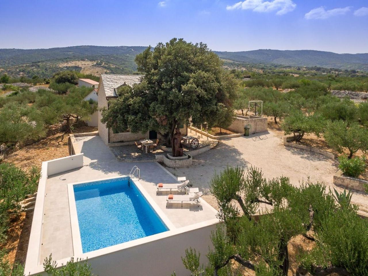 Villa Dubrava Tranquil Retreat Nestled In An Olive Grove For Serene Escapes Pucisca Εξωτερικό φωτογραφία
