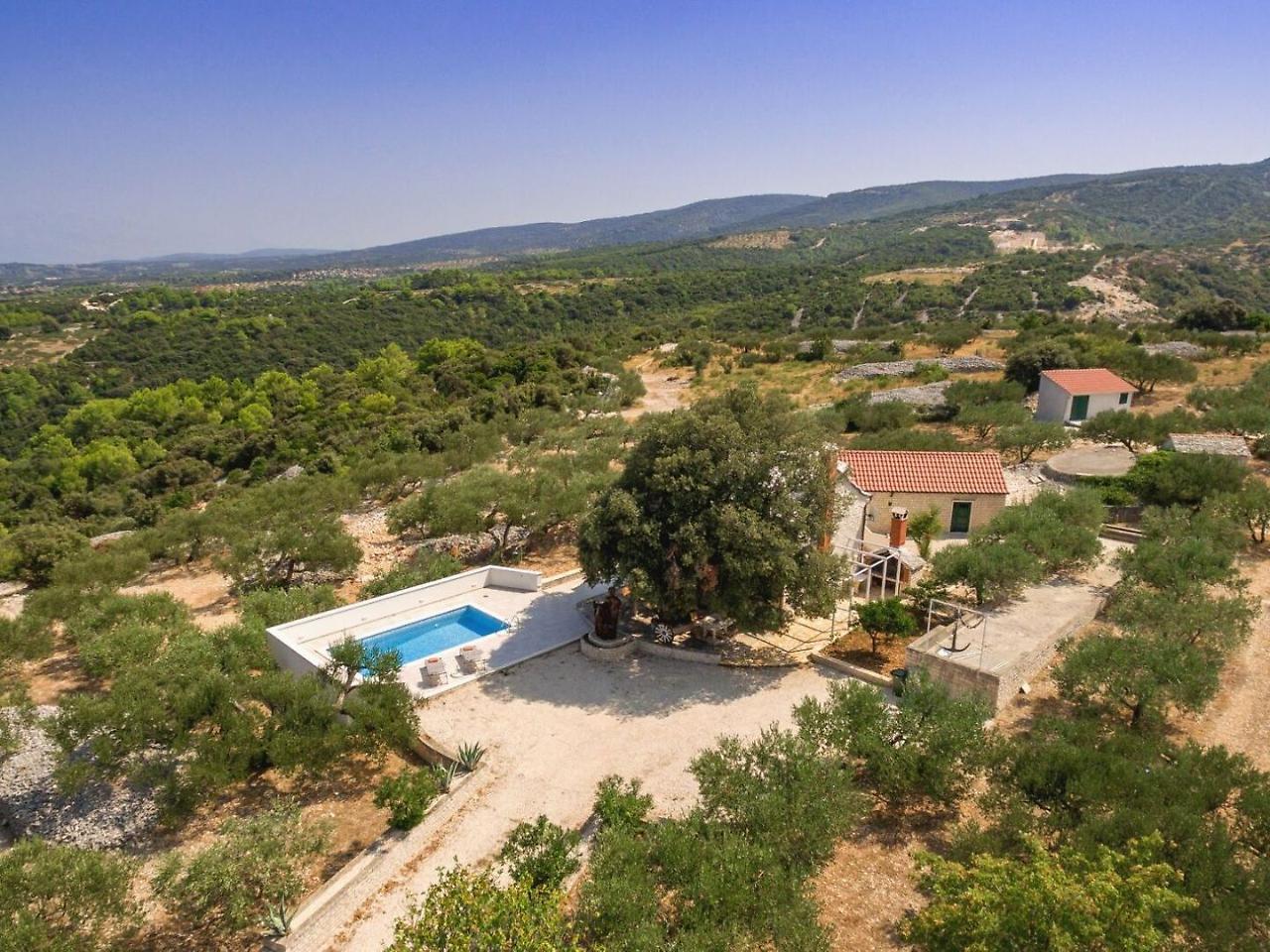 Villa Dubrava Tranquil Retreat Nestled In An Olive Grove For Serene Escapes Pucisca Εξωτερικό φωτογραφία