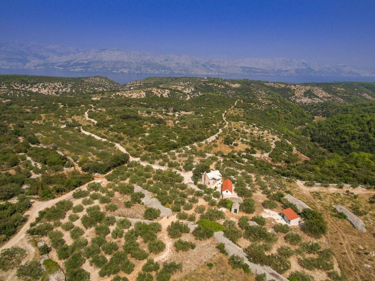Villa Dubrava Tranquil Retreat Nestled In An Olive Grove For Serene Escapes Pucisca Εξωτερικό φωτογραφία